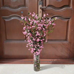 干枝垂丝海棠泡水开花鲜切花枝海棠干支花遇水开花插花年宵花植物