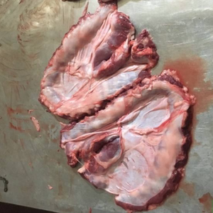 护心肉 新鲜冷冻 猪连肝肉 罗根肉 心皮肉 隔膜肉 20斤 江浙包邮