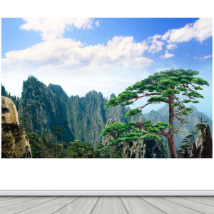 草地草原风景贴画蓝天白云护眼壁纸海报参天大树自粘画晓婷爱生活7