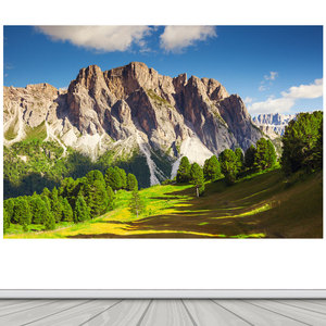 有山无水高山大山树林风景画靠山图办公室背景客厅招财装饰贴纸画