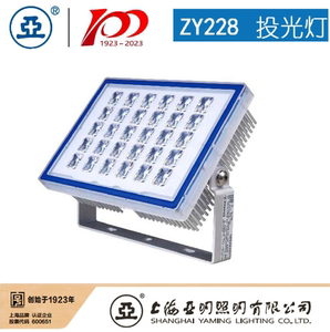 上海世纪亚明LED投光灯ZY118泛光灯ZY228户外防水射灯ZY338照明灯
