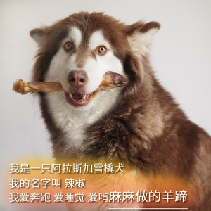 羊蹄磨牙棒萨摩哈士奇狗狗阿拉斯加幼犬法斗边牧柴犬秋田骨头零食