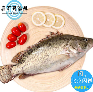 北京闪送 鲜活桂鱼1.4-1.6斤/条 新鲜鳜鱼 鳌花鱼 松鼠桂鱼臭鳜鱼
