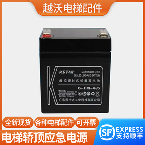 适用永大电梯轿顶应急电源DJW12-4.5/7.0理士蓄电池12V
