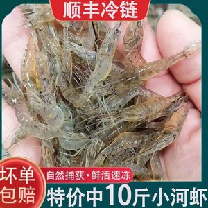 10斤装小河虾鲜活淡水活虾现冻小白虾草虾明虾青虾虾米可食用补钙