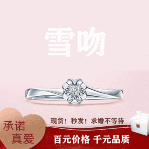 现货送官方真爱协议/18k白金定制戒指1399雪吻求婚钻戒女dr