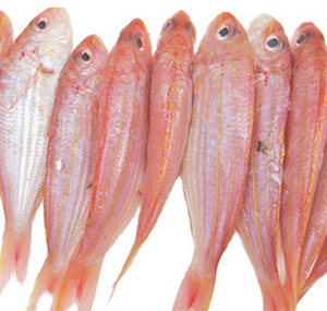 004(五邀园)1斤红三鱼红杉鱼海水鱼冰鲜鱼海鲜水产类