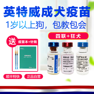 进口英特威犬成年狗用疫苗宠必威四联加强狂犬防疫针套装