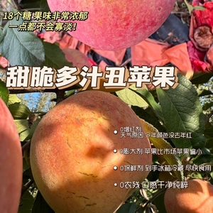 苹果水果徐州丰县大沙河苹果10斤带箱红富士冰糖心脆甜野生丑萍果