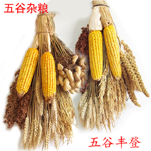 五谷杂粮装饰玉米挂件麦穗干花高粱穗田园农家乐农作物丰收节道具