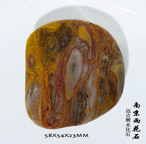 天然原石远古辉木化石南京雨花石古生物植物木化玉化雕刻饰品辉木