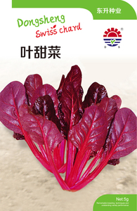 紫叶甜菜种子蔬菜种子观光园栽培红甜菜种蔬菜种孑禾之元四季春秋