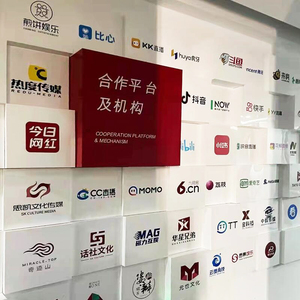 公司logo墙订制企业品牌合作文化墙设计展示墙墙贴定制3d制作