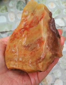 宁强珊瑚玉化石红黄色手掌纹手指奇石小件天然手玩件原石料收藏精