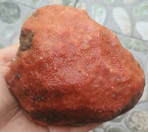 特价雪花玉