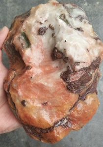 宁强珊瑚玉石蜂窝纹原石红黄白小摆件奇石古生物化石办公室桌精品