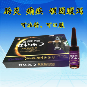 痢停黄藤素注射液 肠毒泻痢停 肠炎腹泻一针灵猪牛羊q57390066828