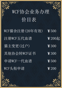 注册代办猫宠物血统证明 wcf猫证 金渐层 金点 长毛 血统证书猫舍