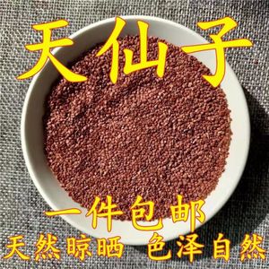 优质天仙子100克 野生南天仙子正品天仙子中草药南天仙子茶包邮