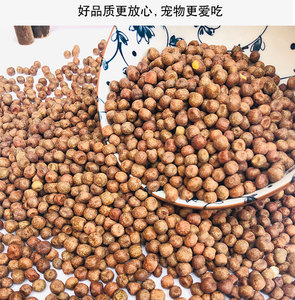 进口枫豆优质花豌豆幼鸽粮食鸽子豌豆信鸽子饲料麻豆500克一件