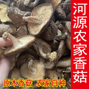 广东河源特产和平农家原木香菇干货椴木冬菇蘑菇煲汤散装1斤