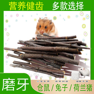 仓鼠磨牙石磨牙棒苹果树枝用品兔子龙猫荷兰猪金丝熊磨牙造景零食