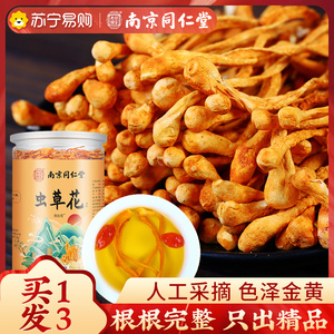 虫草花特级正品