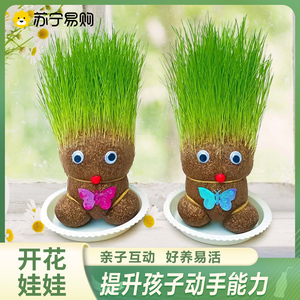 头上长草娃娃草头开花儿童种植小盆栽种草绿植观察植物生长951