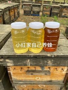 陕北枣妹子小红家枣花蜜，槐花蜜，结晶土蜂蜜，1瓶（2斤）60元