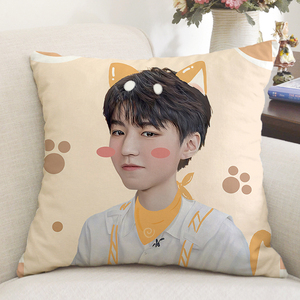 王俊凯周边抱枕定制同款杂志海报代言贴纸玩偶公仔生日礼物女枕头