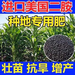 进口二铵化肥 美国二铵农用磷酸二铵氮磷钾肥种菜种花水稻肥