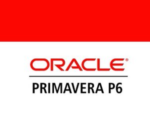 primavera p3/p6工程项目管理软件 送视频教程 实例 21.12 最新版