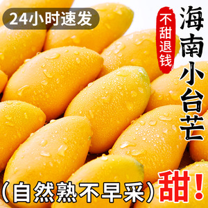 海南小台农芒果新鲜水果10斤当季整箱时令应季热带特产大果甜包邮