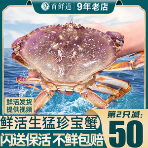 面包蟹鲜活珍宝蟹螃蟹特大超大新鲜海鲜水产进口黄金蟹珍宝公母