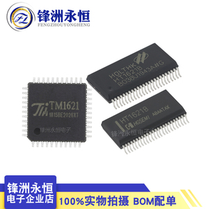 HT1621B 贴片SSOP-48 RAM映射 LCD驱动器 液晶芯片 TM1621