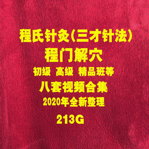 程氏针灸程门解穴初级高级班精品小班八套视频程氏三才针法213g