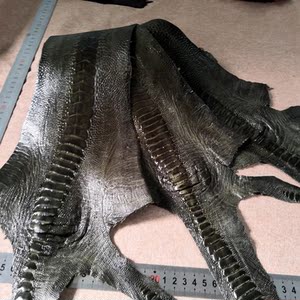 南非军绿色鸵鸟腿皮特种皮料 手工diy钱包表带短夹包杆鞋子真皮料