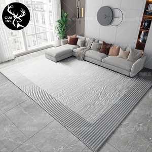 客厅地毯可水洗