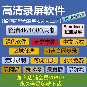 Bandicam VIP班迪录屏软件电脑高清游戏视频声音屏幕录制直播录像