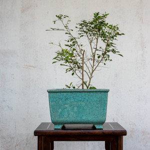 石湾花盆陶一峰