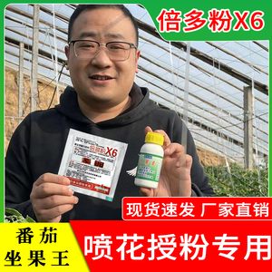 倍多粉飞萼灵番茄绿萼灵圣女果展萼灵西红柿长萼灵解除点花药要害