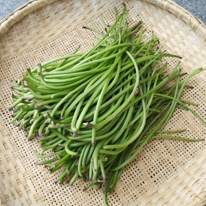 新鲜山芋藤嫩杆子安徽霍山农家自种红芋红薯叶番薯叶时令蔬菜现采