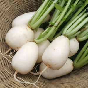 新鲜白小萝卜