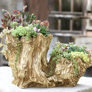 尚和道仿木头大号口径多肉花盆家用创意树根盆器植物微景观树脂盆