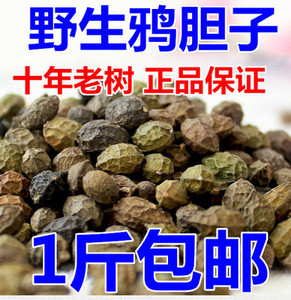 40七度橙旗舰店天猫鸦胆子鸭蛋子籽膏仁油中药鸭胆子鸦蛋子新货跖疣