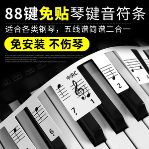 88键免粘贴钢琴贴纸电钢琴键盘简谱贴61键贴初学入门五线谱音符条