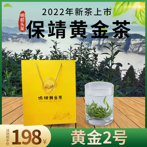 2022年新茶湘西保靖黄金茶2号明前头采高山云雾湖南绿茶特级100g