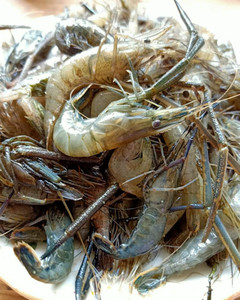 大洪山野生淡水河虾新鲜河虾青虾草虾鲜活急冻大沼虾500克