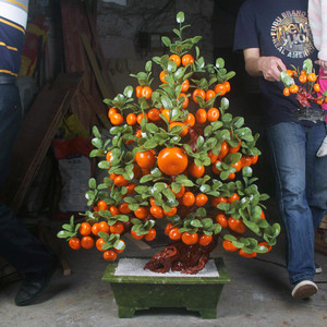 天然玉石大68桔子树客厅家居饰品玉器创意橘子摆件会所玉器工艺品
