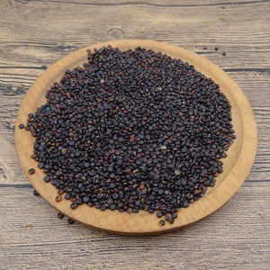 野生 水红花子250克 包邮 水红花籽荭草实水荭子河蓼子水荭草子